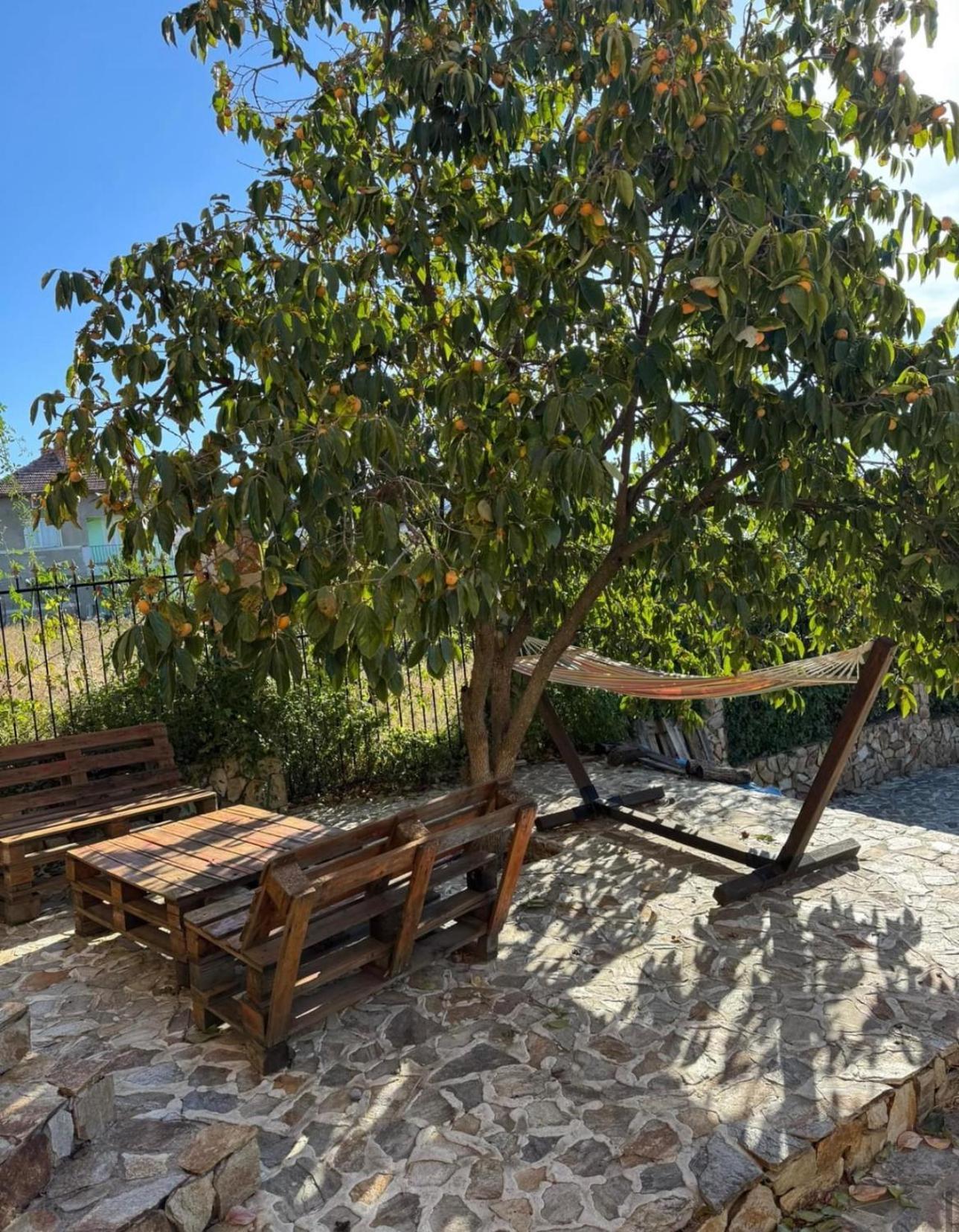 Sunshine Villa Dzhigurovo Sandanski Exterior foto